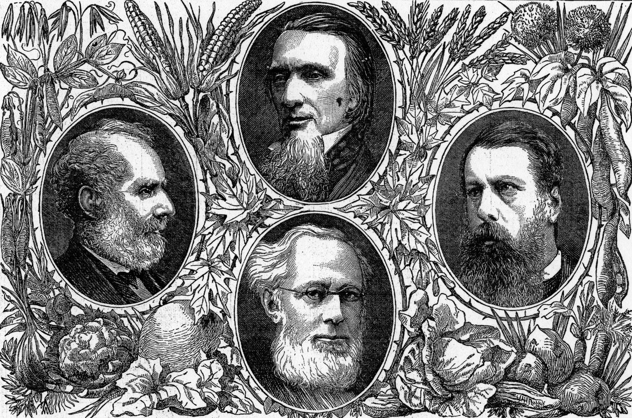 Vegetariánský systém – Někteří přední členové Vegetariánské společnosti, publikovaný v The Graphic, 1874 od English School