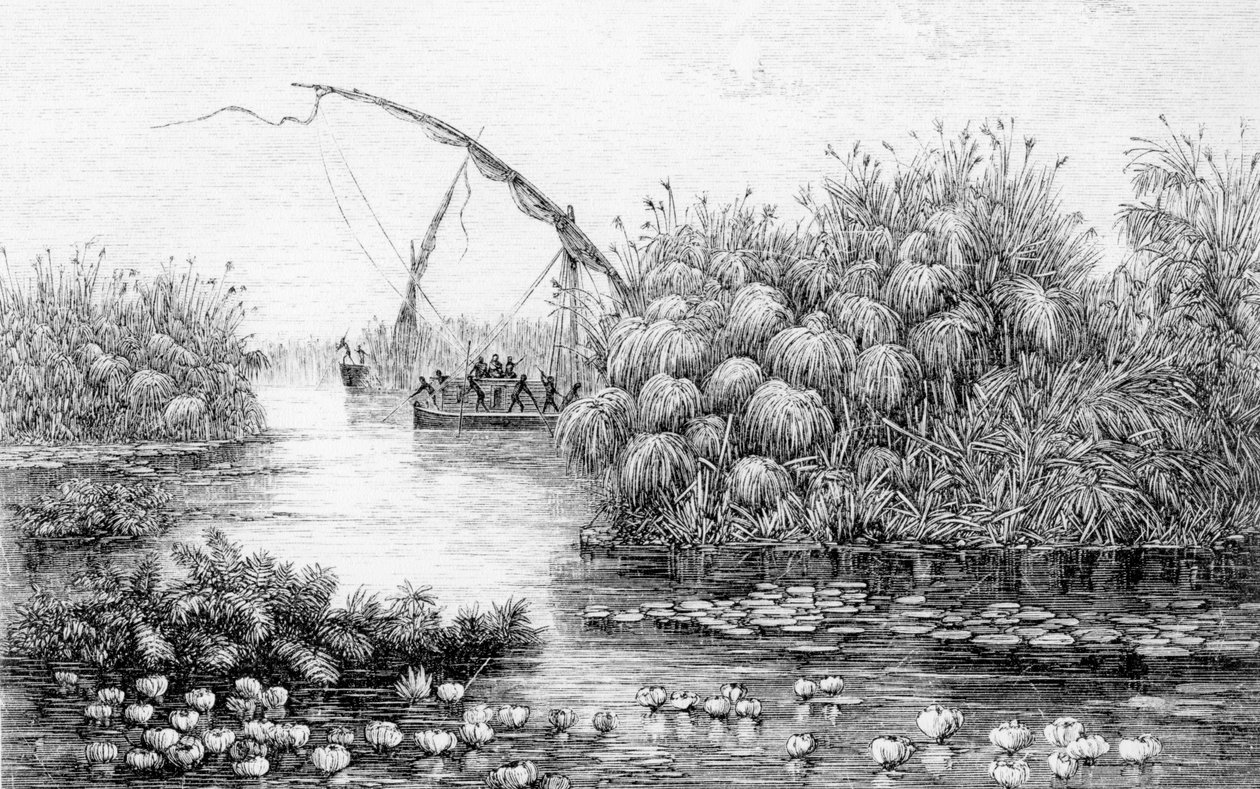The Vessels in the Grass-Barrier, z „Srdce Afriky, tříleté cesty a dobrodružství v neprobádaných oblastech střední Afriky, od roku 1868 do roku 1871“, Georg August Schweinfurth od English School
