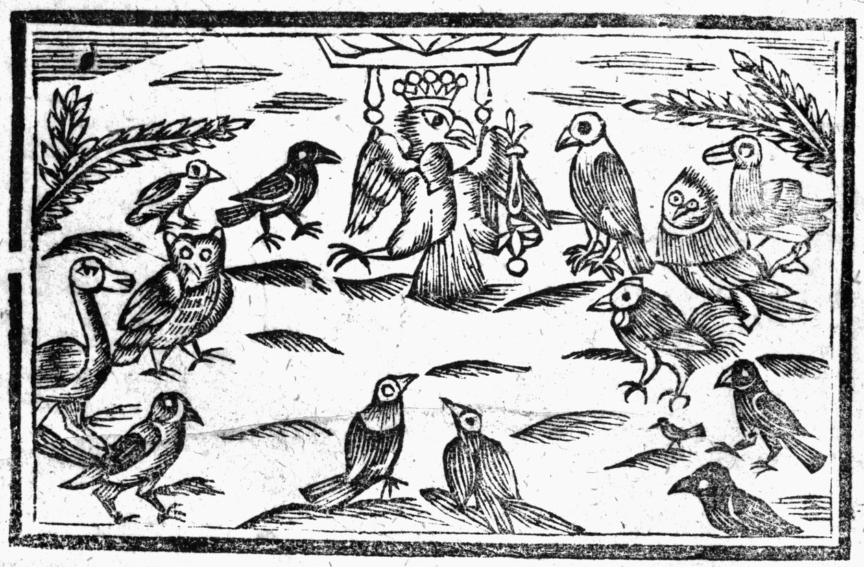 The Woody Choristers aneb Ptačí harmonie, ilustrace z knihy "A Book of Roxburghe Ballads". od English School