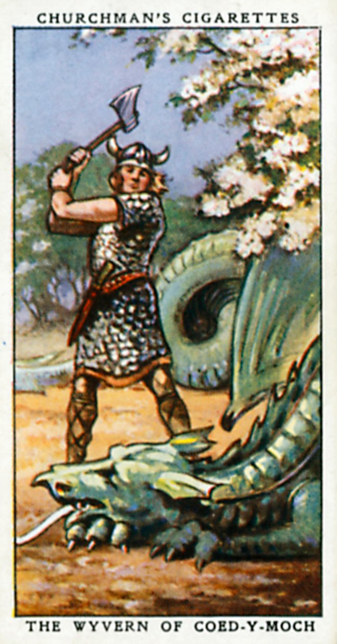 Wyverna z Coed-Y-Moch (barevná litografie) od English School