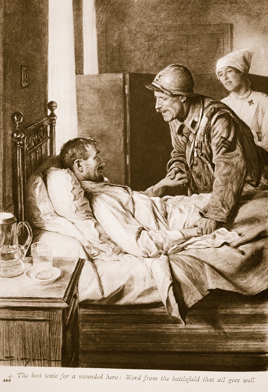Nejlepší tonikum pro zraněného vojáka: Zprávy z bojiště, že vše jde dobře, 1914-19 od English School