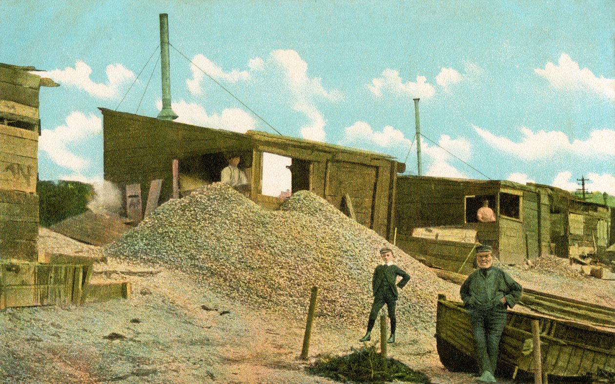 Coull boudy ve starém městě, Leigh-on-Sea, Essex, Anglie (barva litho) od English School