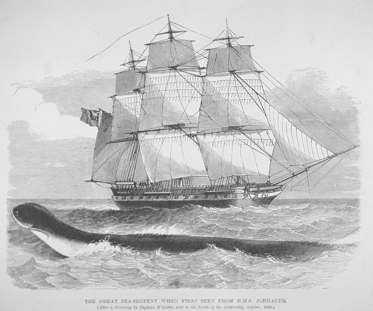 Velký mořský had, když byl poprvé spatřen z HMS Daedalus v roce 1848, kolem roku 1848 (rytina) od English School