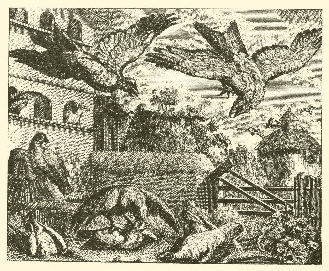 Drak a holubi (rytina) od English School