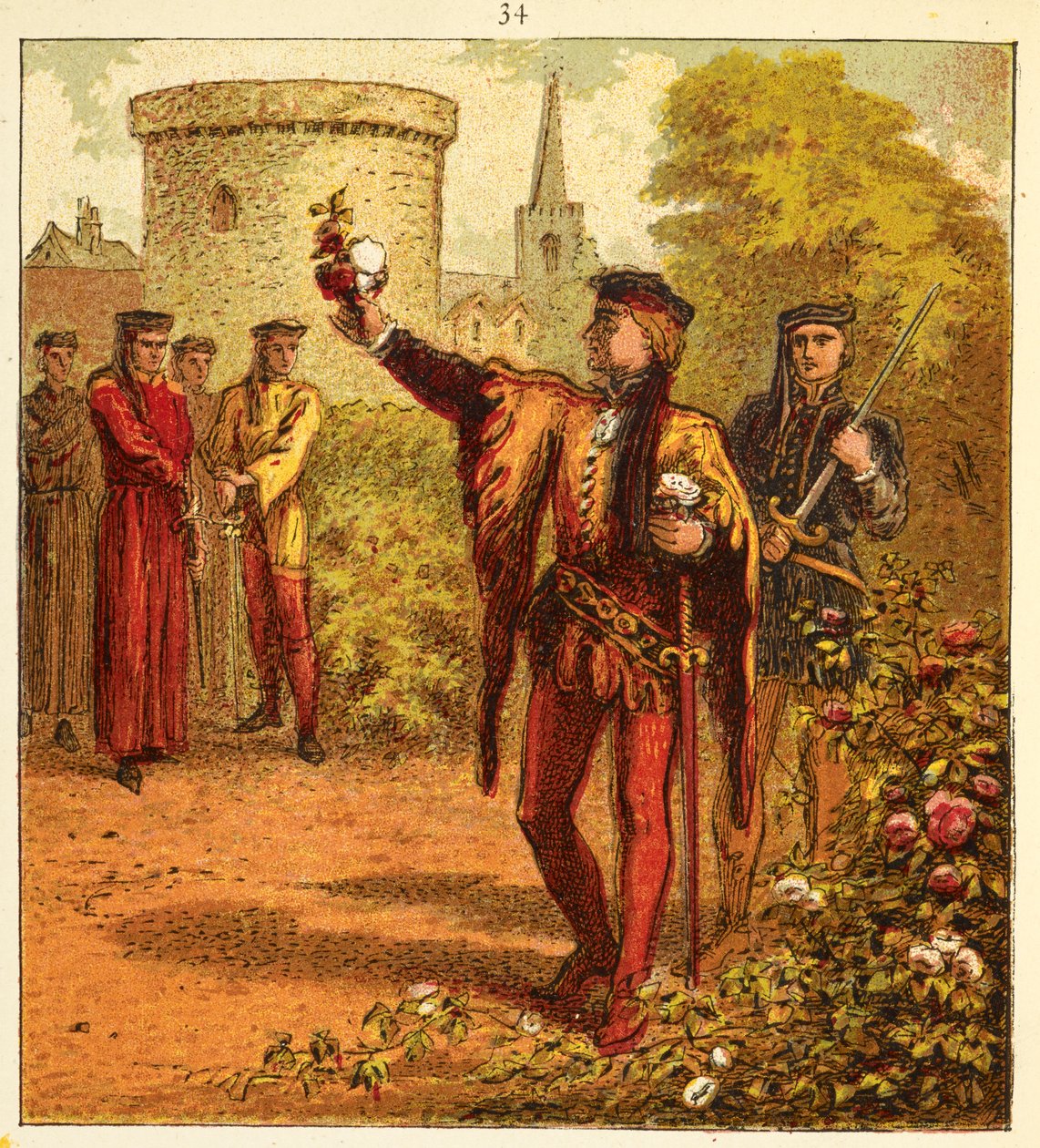Červené a bílé růže, ilustrace z 