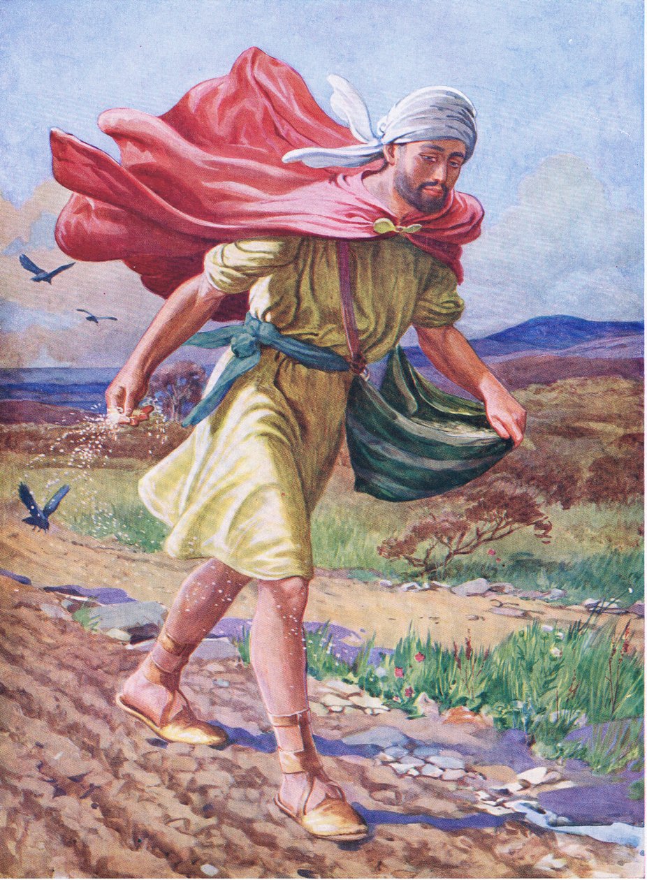 Rozsévač, z knihy The Bible Picture Book vydané nakladatelstvím Thomas Nelson, cca 1950 (barevná litografie) od English School