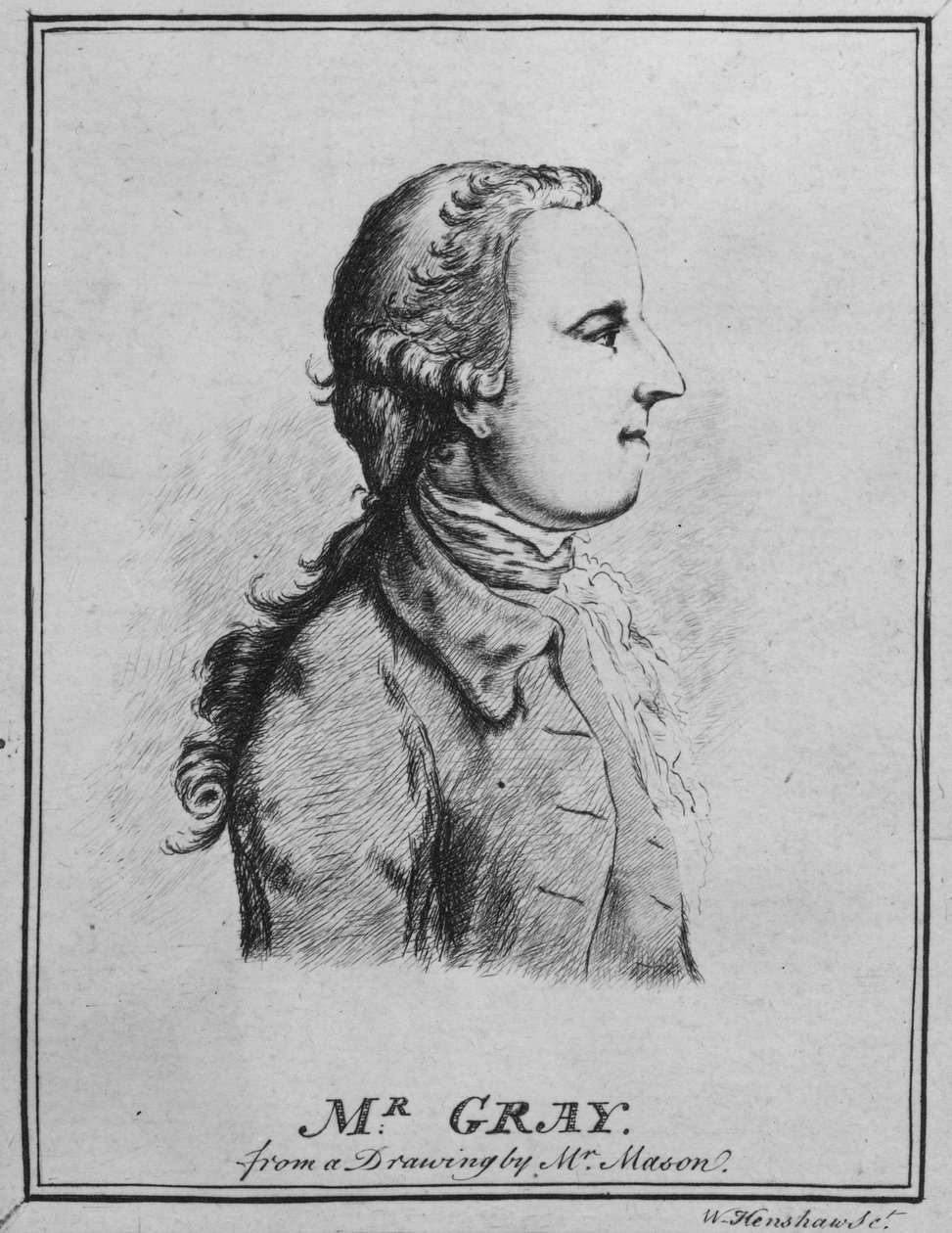 Thomas Gray, kreslil William Henshaw (pero a inkoust na papíře) (černobílá fotografie) od English School