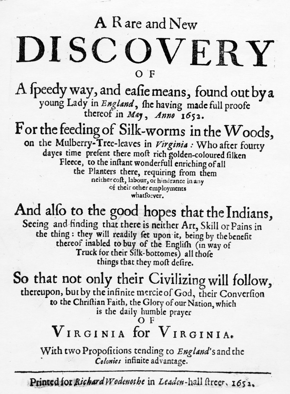 Titulní strana pro The Reformed Virginian Silk-Worm od Samuela Hartliba, vydaná 1652 (knihtisk) od English School