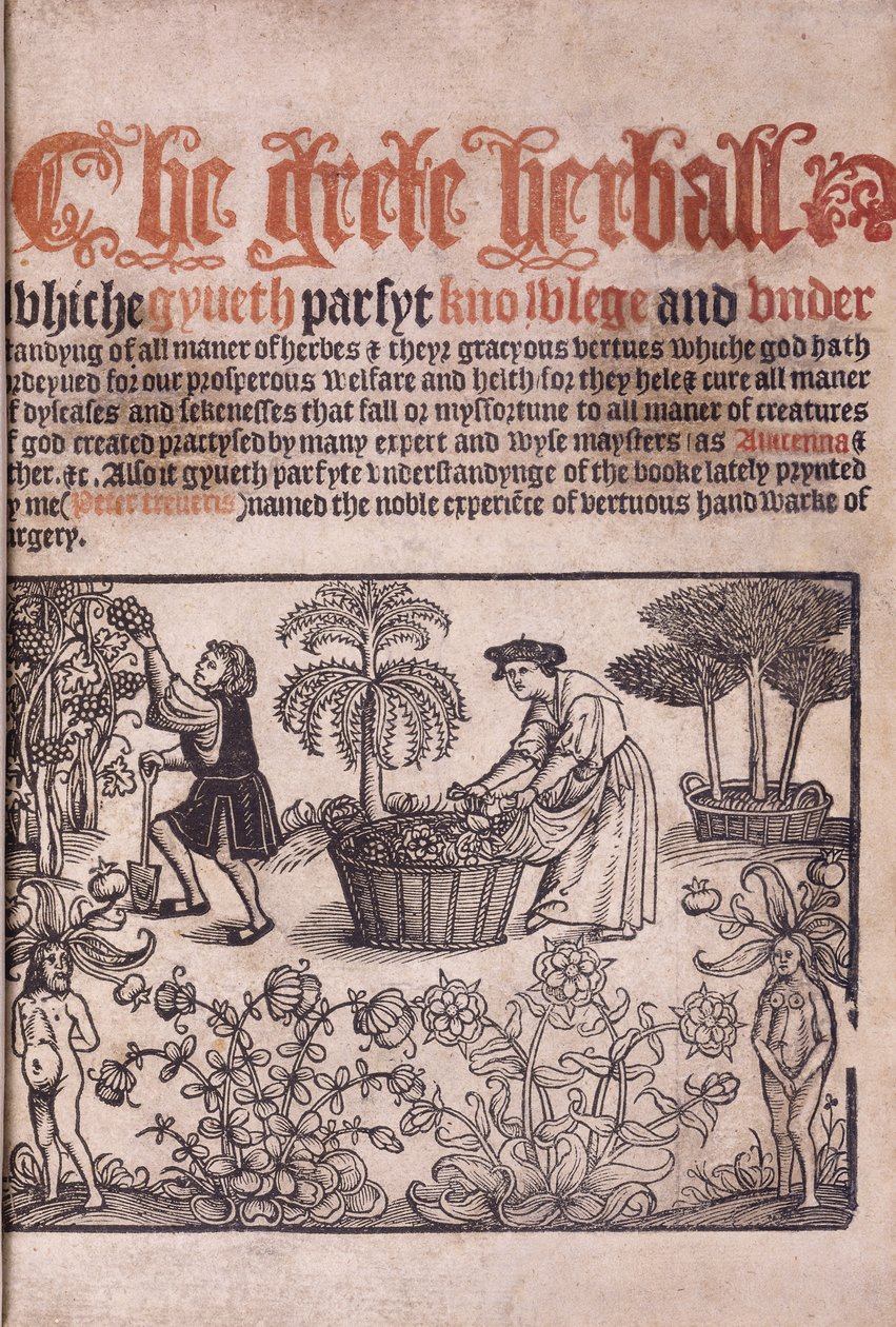 Titulní strana ilustrující zahradní scénu s postavami, 1529 od English School