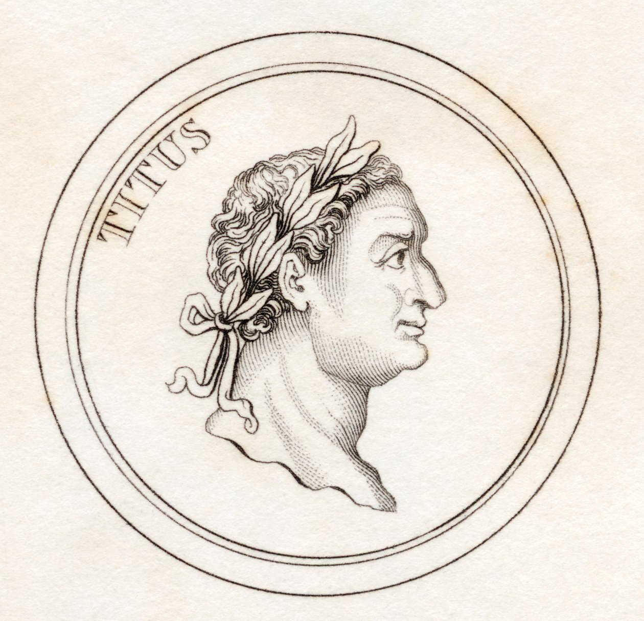 Titus, z knihy "Crabb