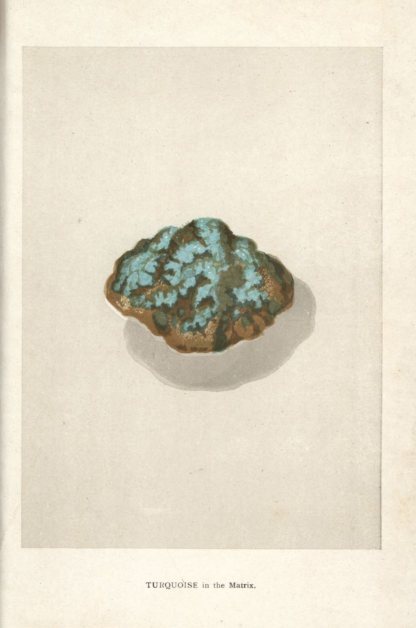 Tyrkys v matrici, z knihy Edwina Streetera „Precious Stones and Gems“, London, George Bell & Sons od English School
