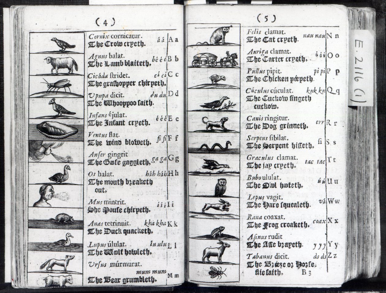 Dvě stránky z knihy Orbis Sensualium Pictus od Komenského, 1659 od English School
