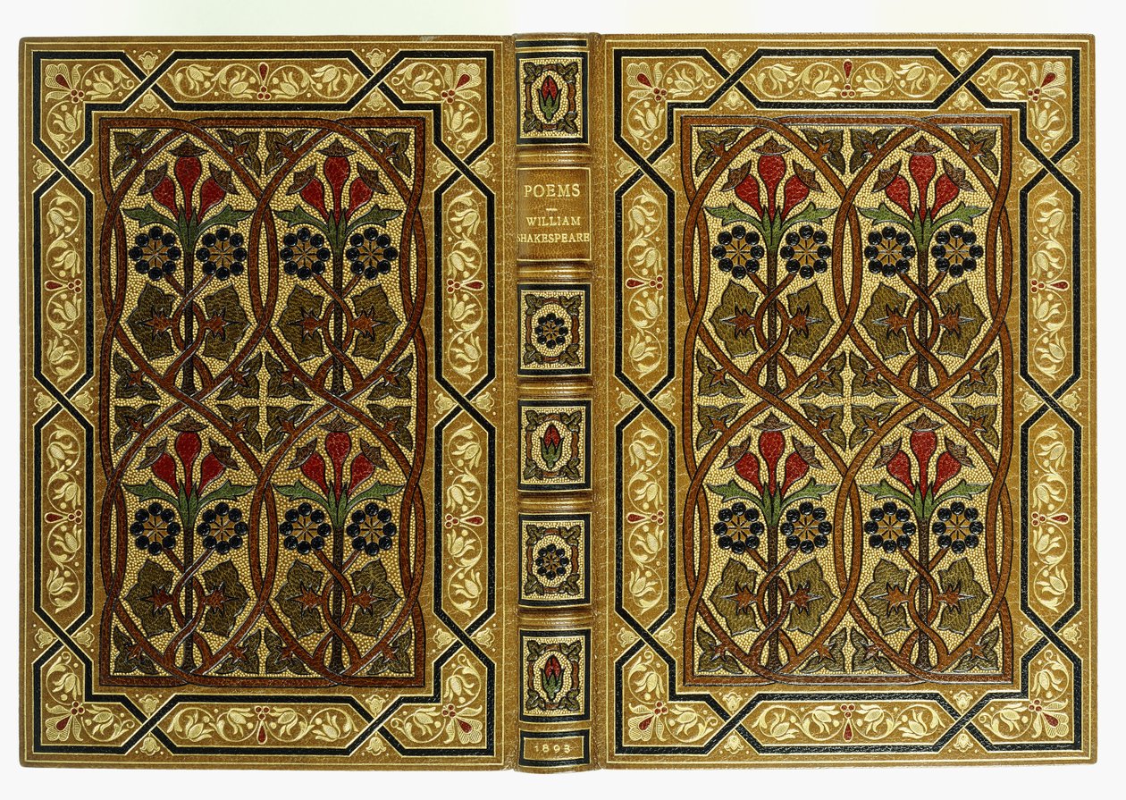 Horní a spodní obálky, s květinami v secesních prokládaných geometrických vzorech, 1893 od English School