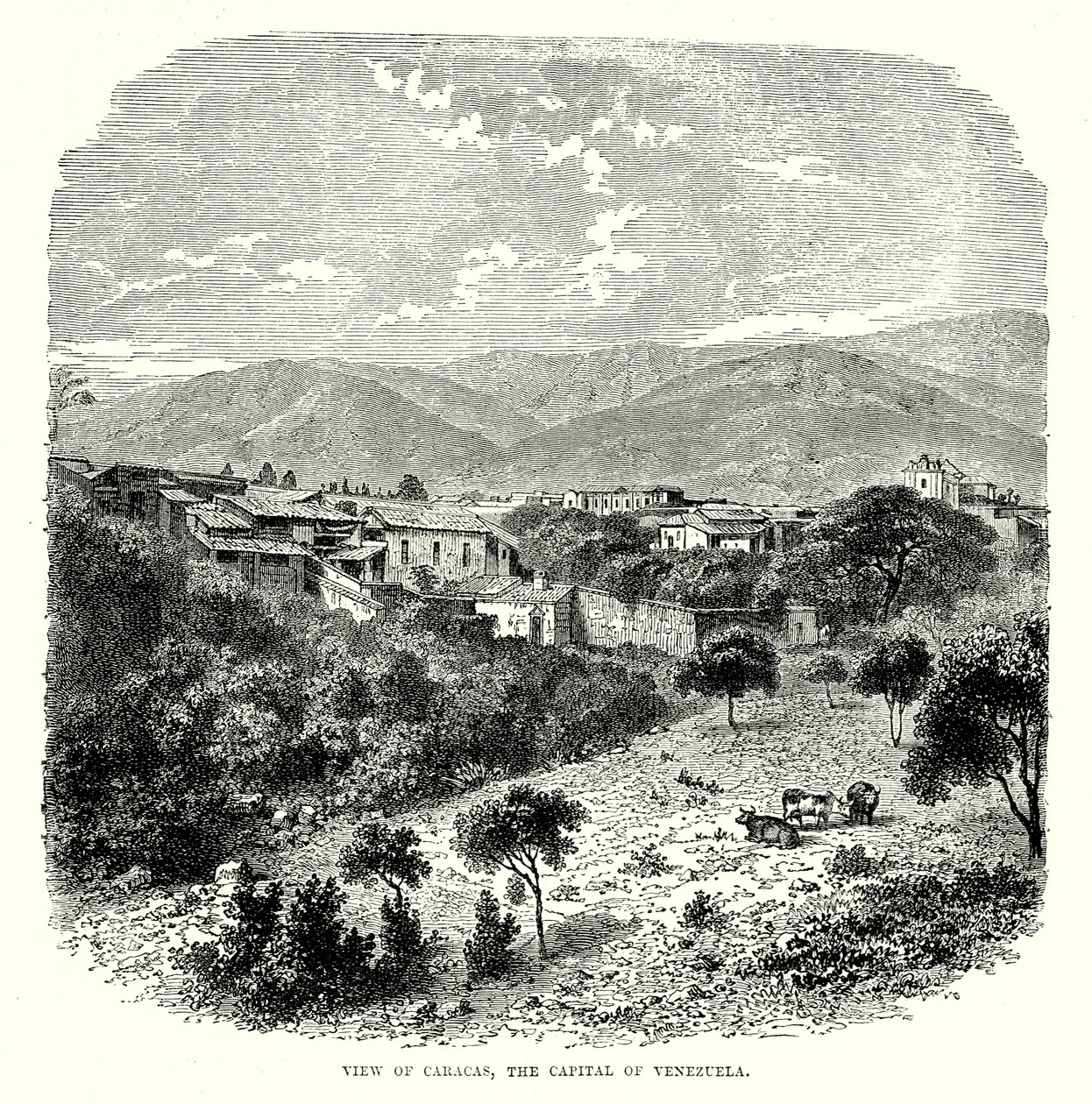  od English School