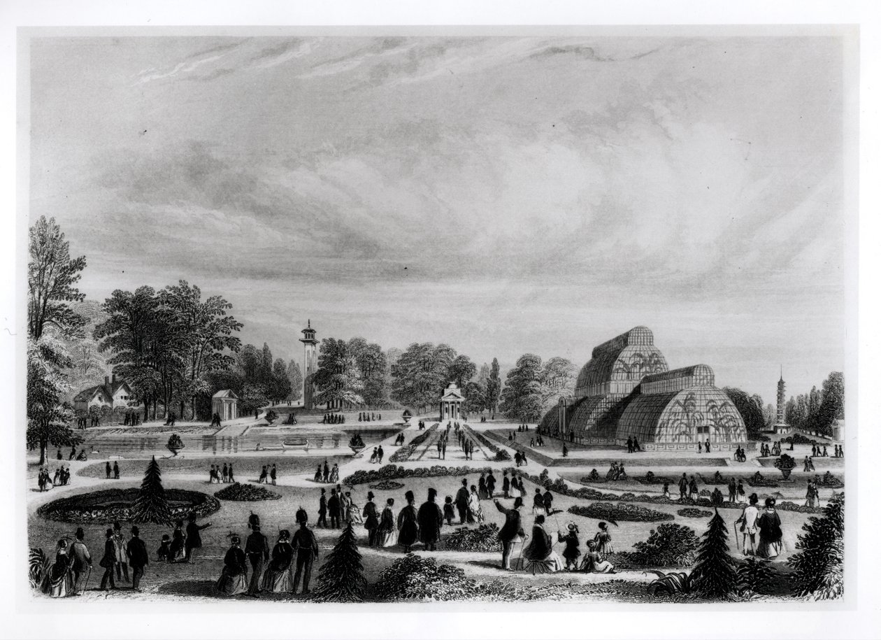 Návštěvníci si prohlížejí Palm House v paláci Kew, c.1860 od English School