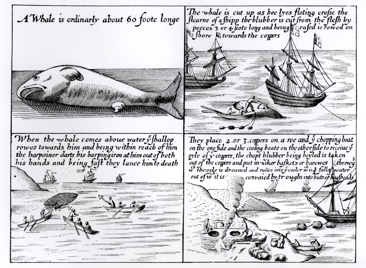 Lov velryb na Spitzbergen v roce 1611 od English School