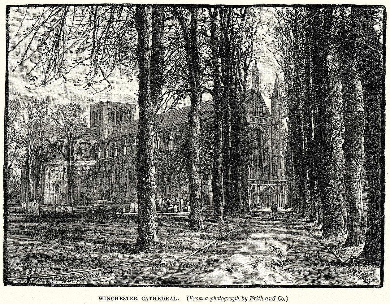 Winchesterská katedrála (rytina) od English School
