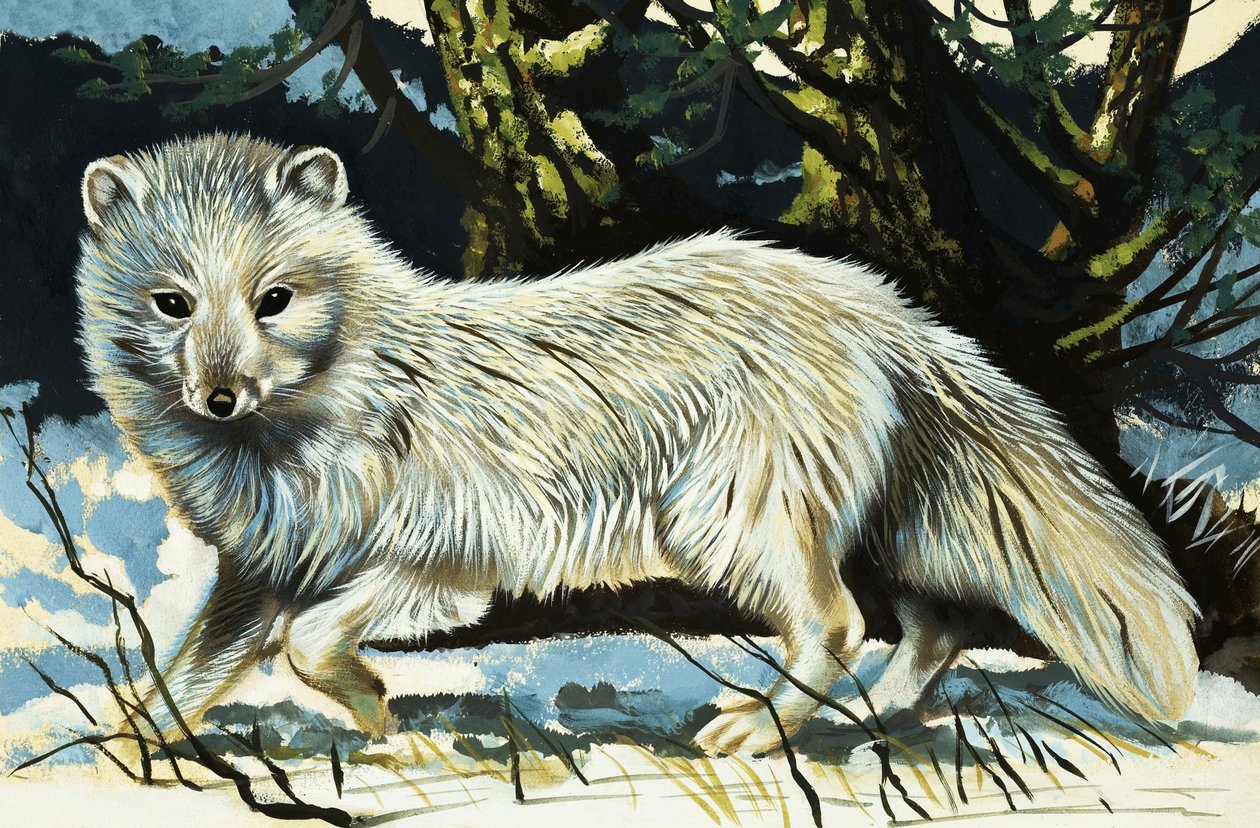 Wolf od English School