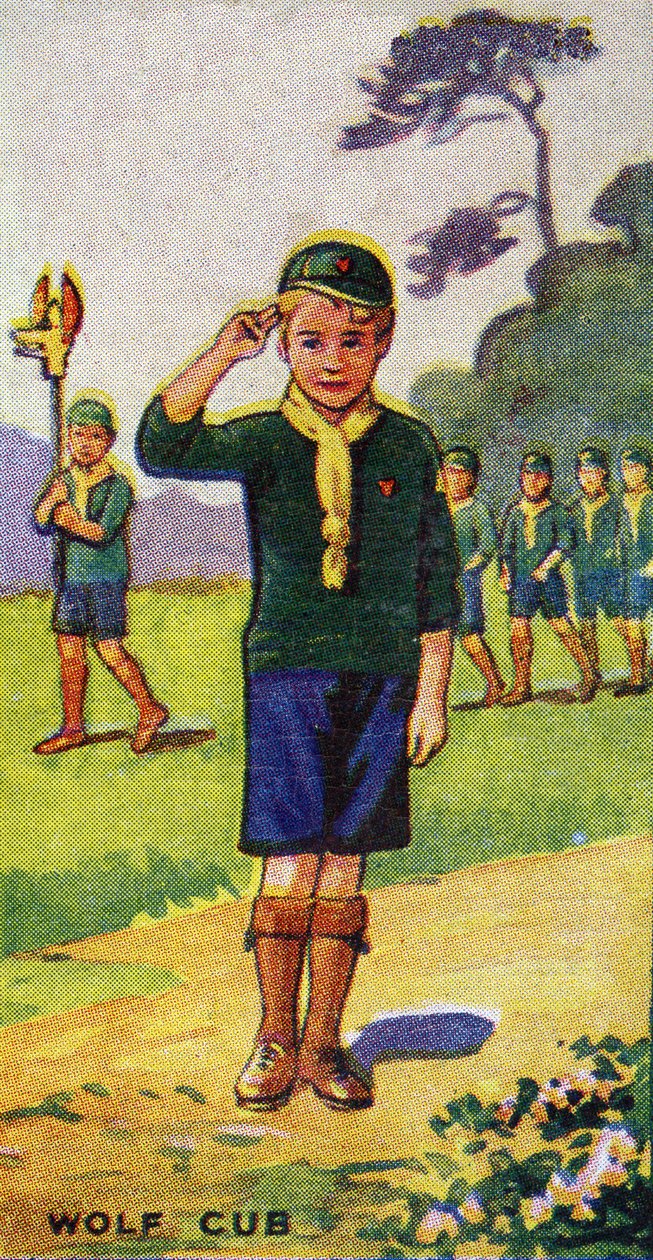 Vlčí mládě, 1923 od English School