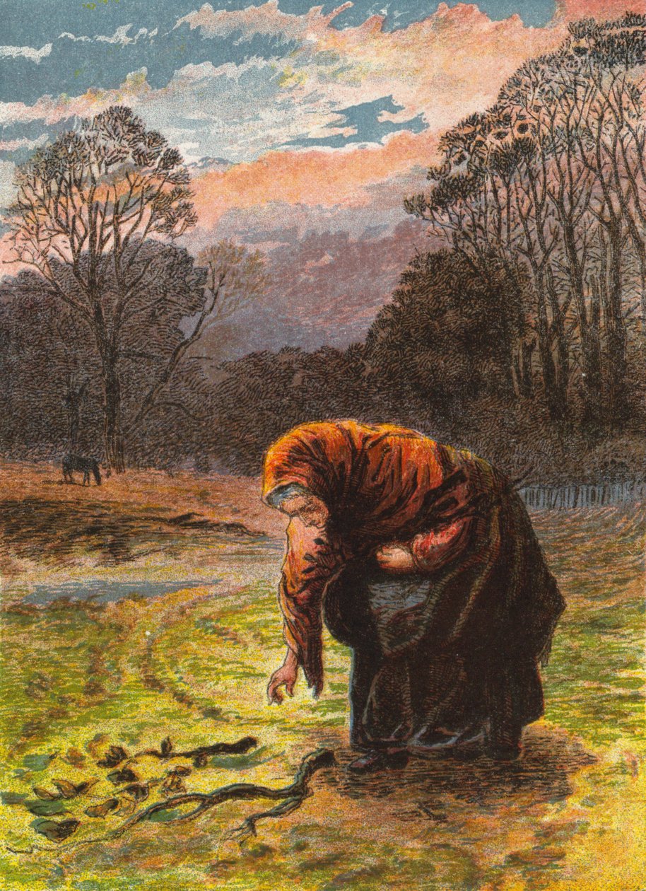 Žena sbírající dříví (barevná litografie) od English School
