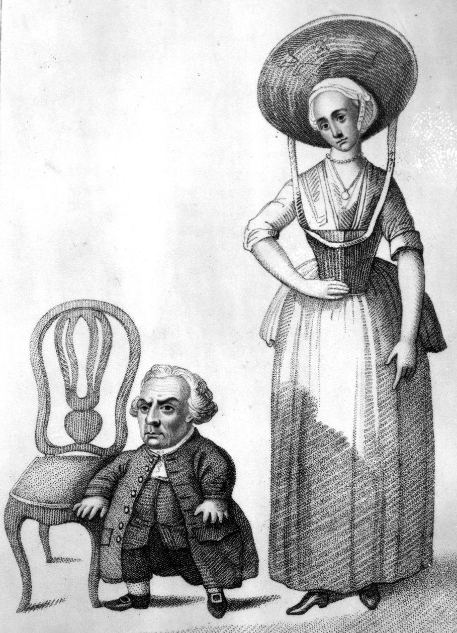 Wybrand Lolkes, ilustrace v 
