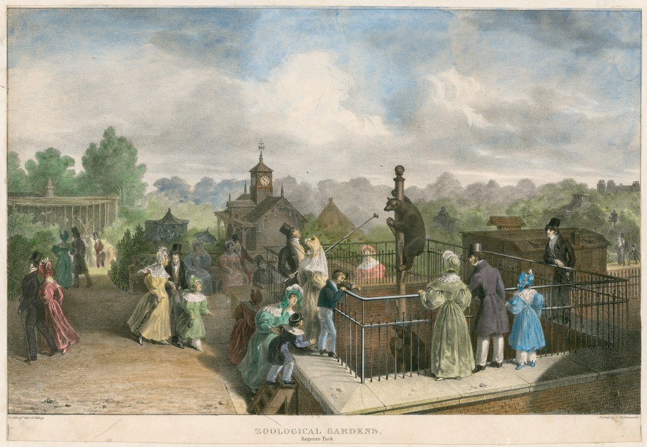 Zoologická zahrada, Regent