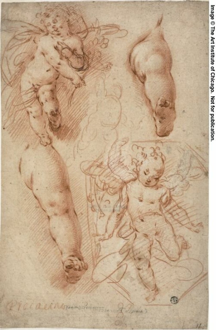 Náčrtky Putti, Nohy od Ercole Procaccini the younger