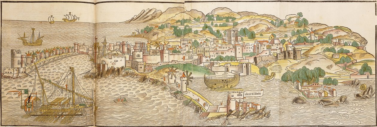 Panoramatický pohled na Rhodos, 1486 od Erhard Reuwich
