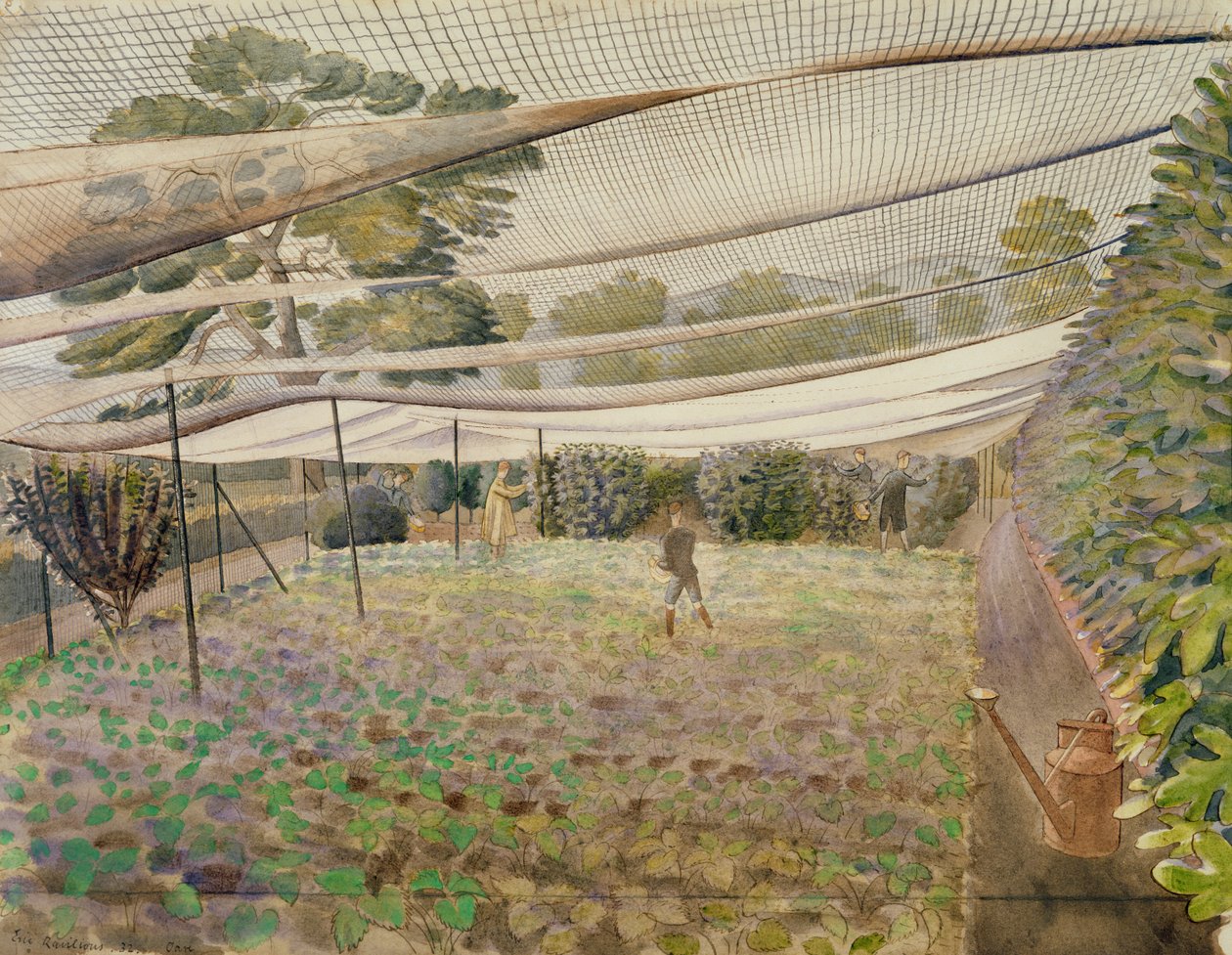 Sítě na jahody od Eric Ravilious