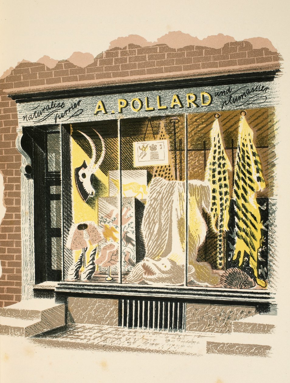 Furrier, ilustrace z 