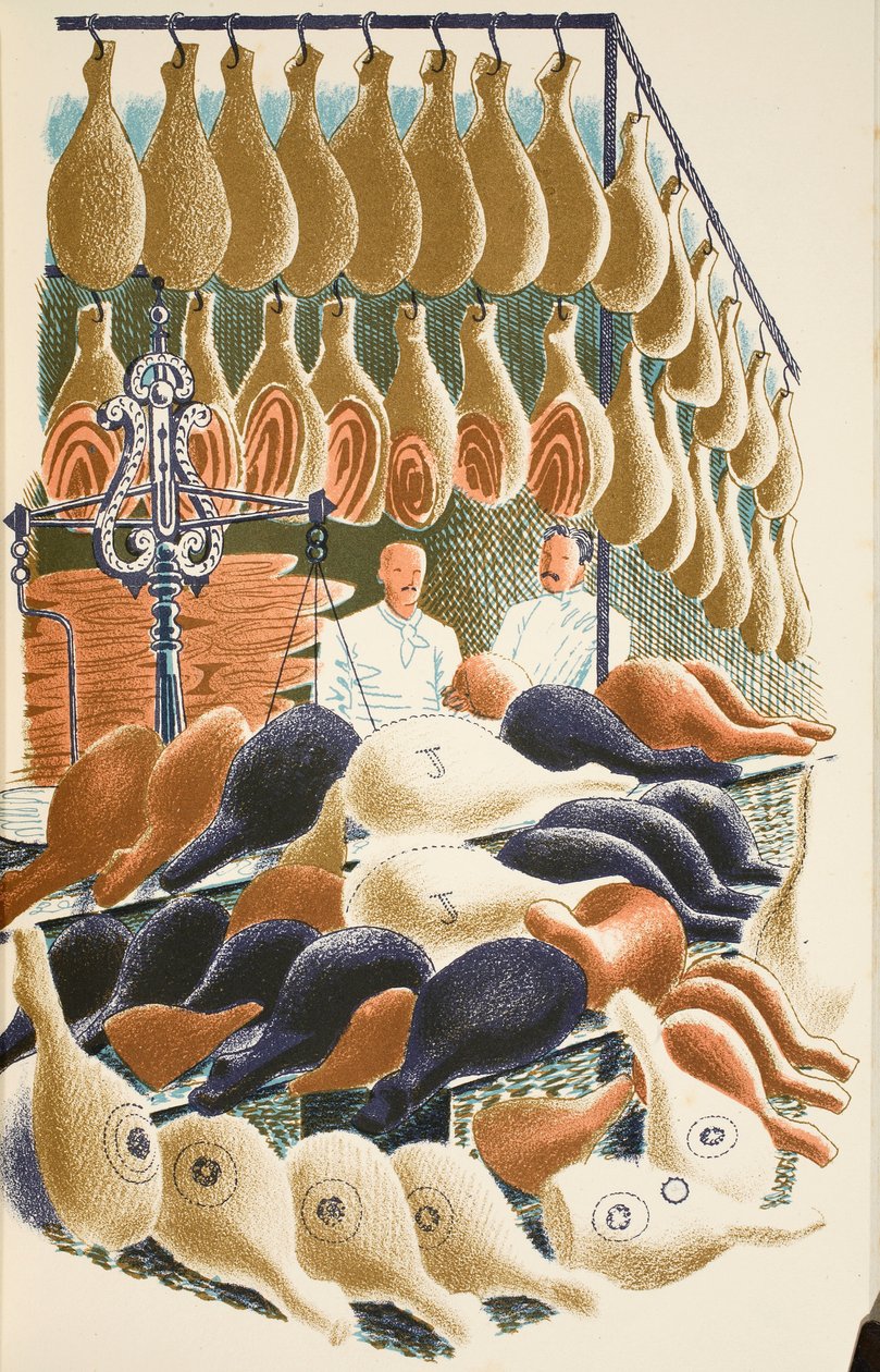 Hams, ilustrace z 