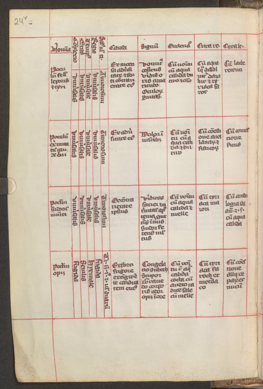 Celá stránka: text od Erich Lessing