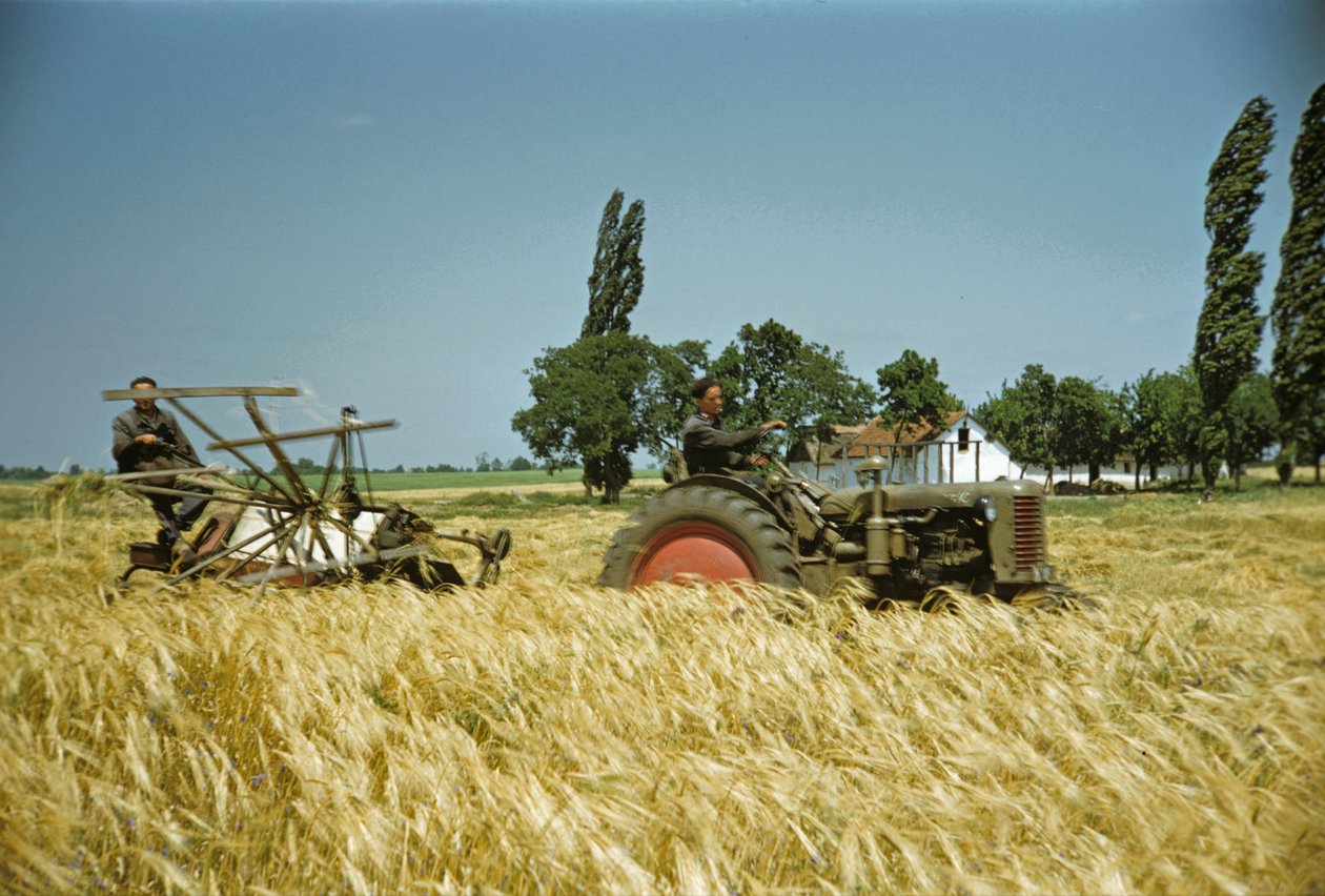  od Erich Lessing