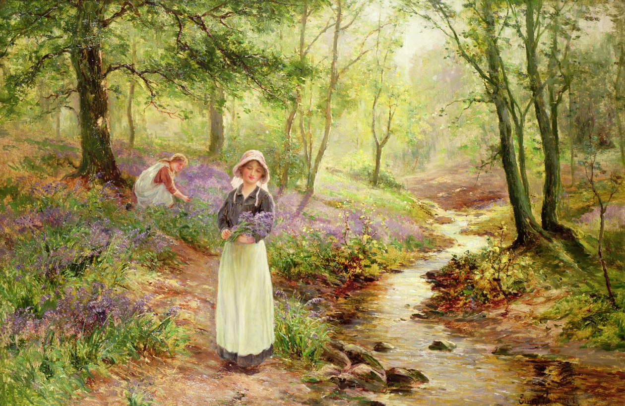 Bluebell Glade od Ernest Walbourn