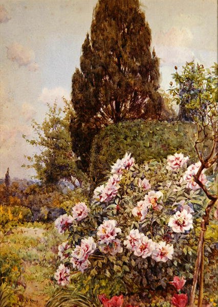 Pivoňky, Coddington, poblíž Ledbury (tužka a akvarel na papíře) od Ernest Arthur Rowe