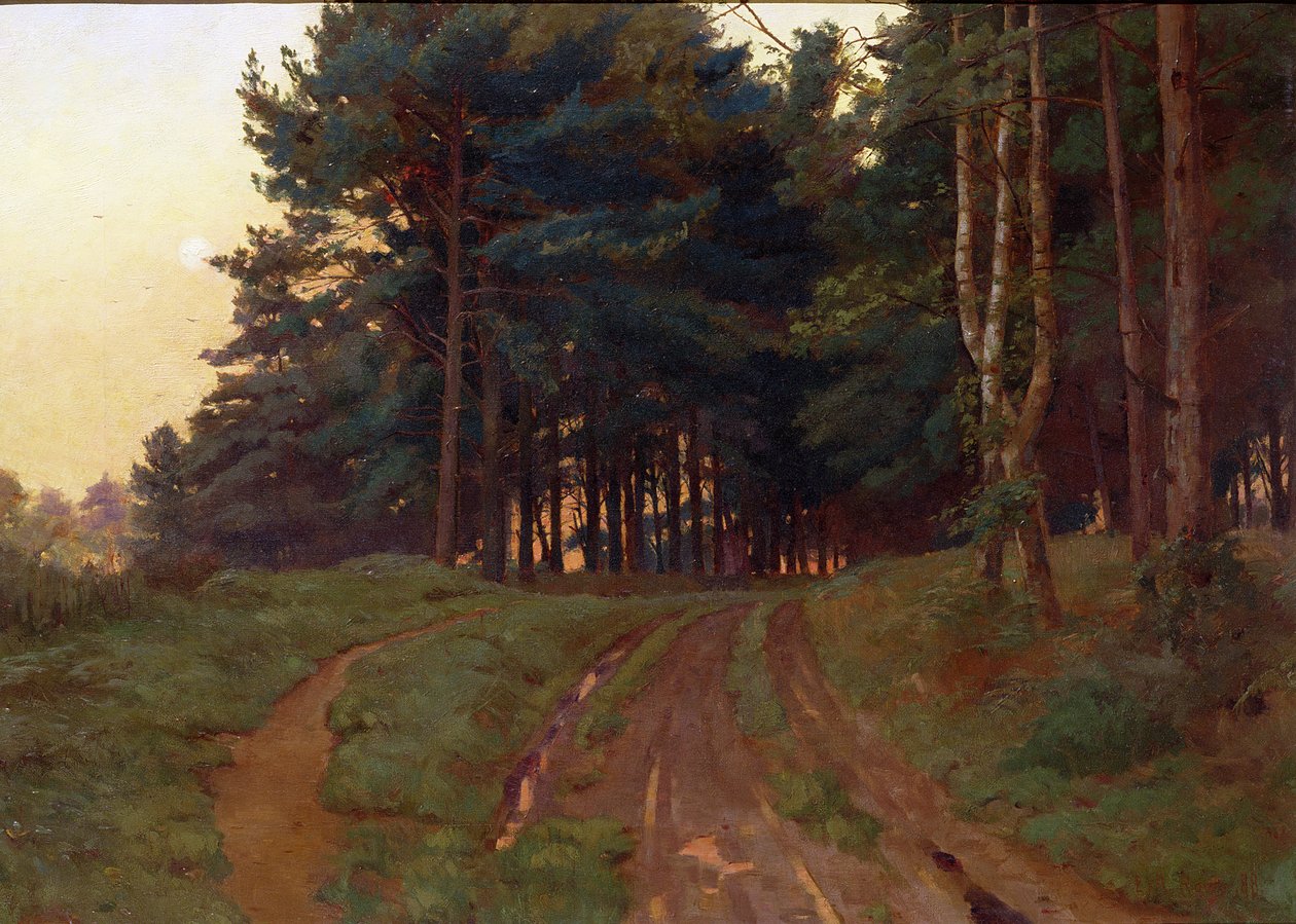 Ticho si vyžádalo svou večerní vládu, 1888 od Ernest Arthur Rowe