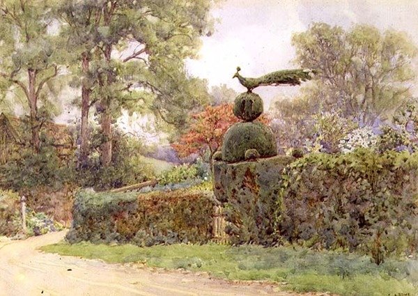 The Old Yew Hedge, Speldhurst, Kent (akvarel) od Ernest Arthur Rowe