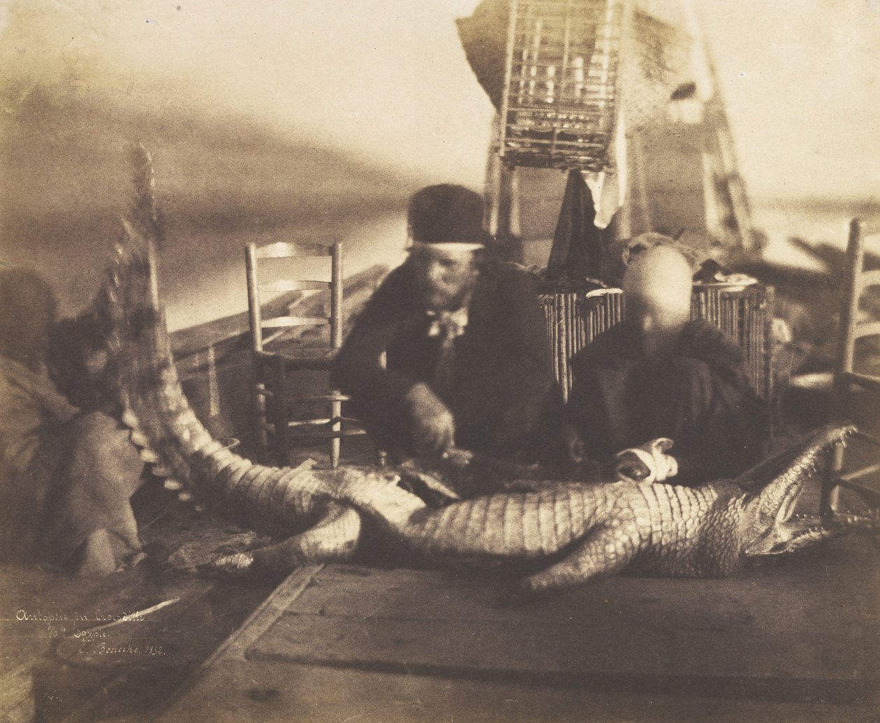 Pitva prvního krokodýla na palubě, Horní Egypt, 1852. od Ernest Benecke