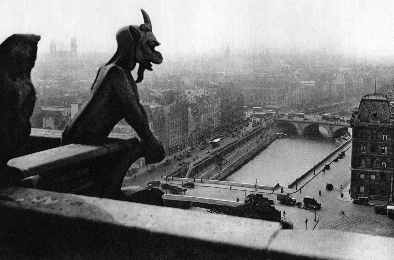 Řeka Seina při pohledu z věže Notre Dame, Paříž, 1931. od Ernest Flammarion