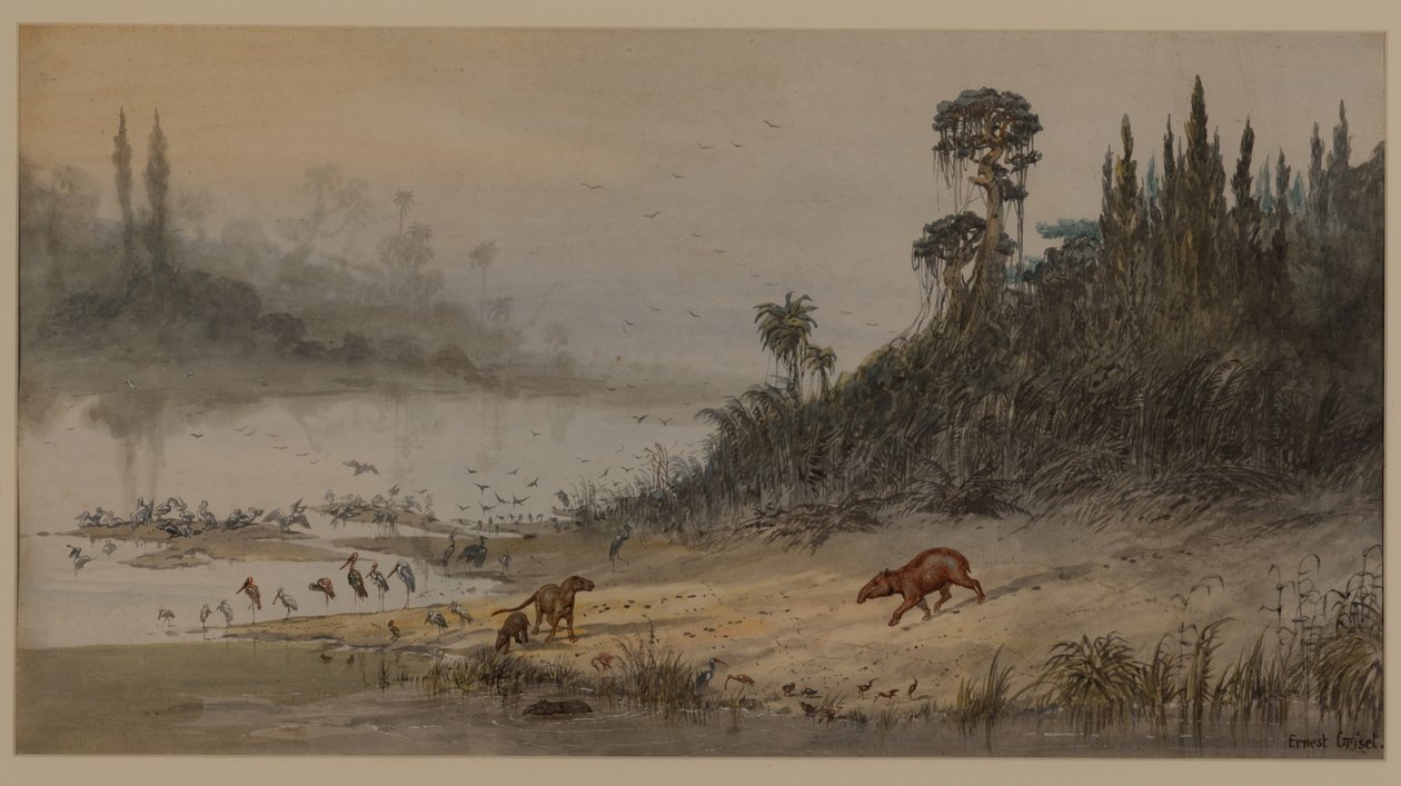 Krajina, 1871 od Ernest Henry Griset