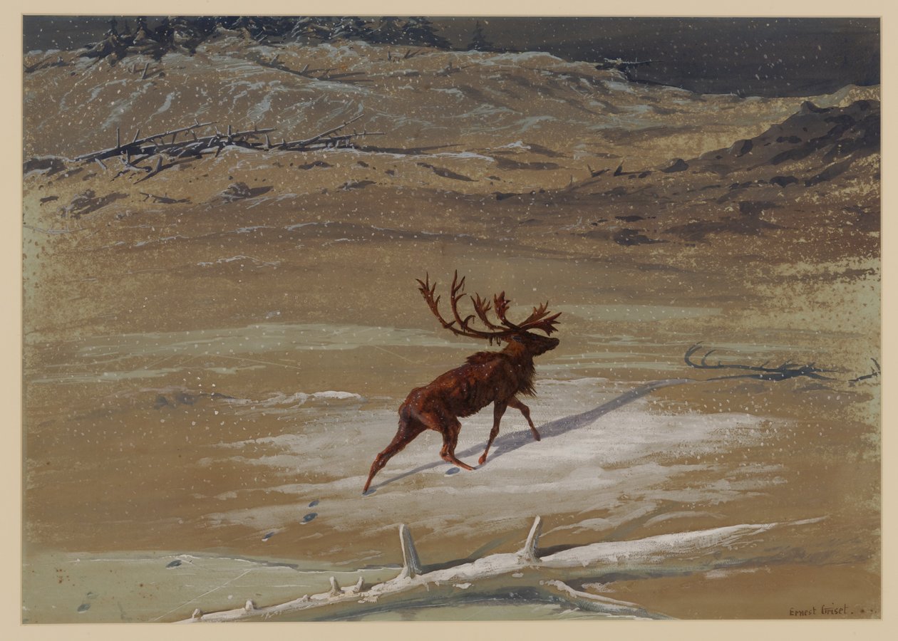 Jelen, 1871 od Ernest Henry Griset