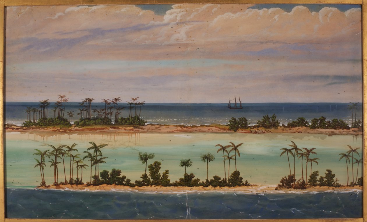 Triptych atolu, 1871 od Ernest Henry Griset