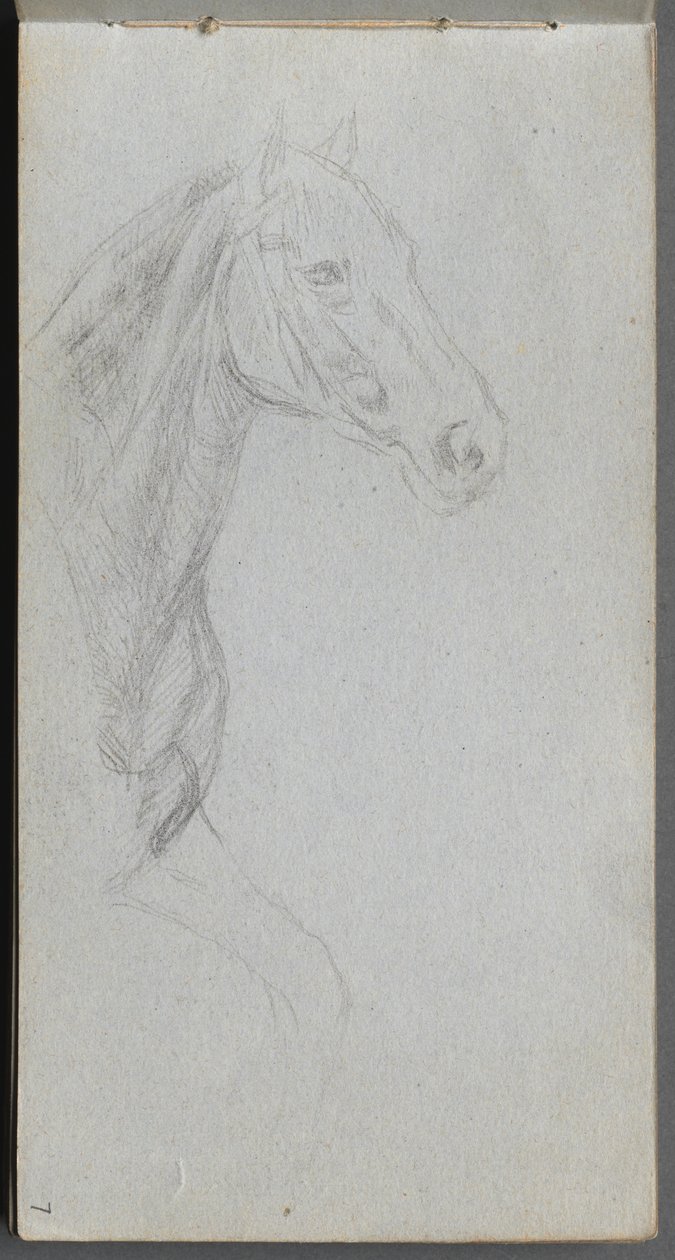 Náčrtník, strana 07: Studie koně. od Jean Louis Ernest Meissonier