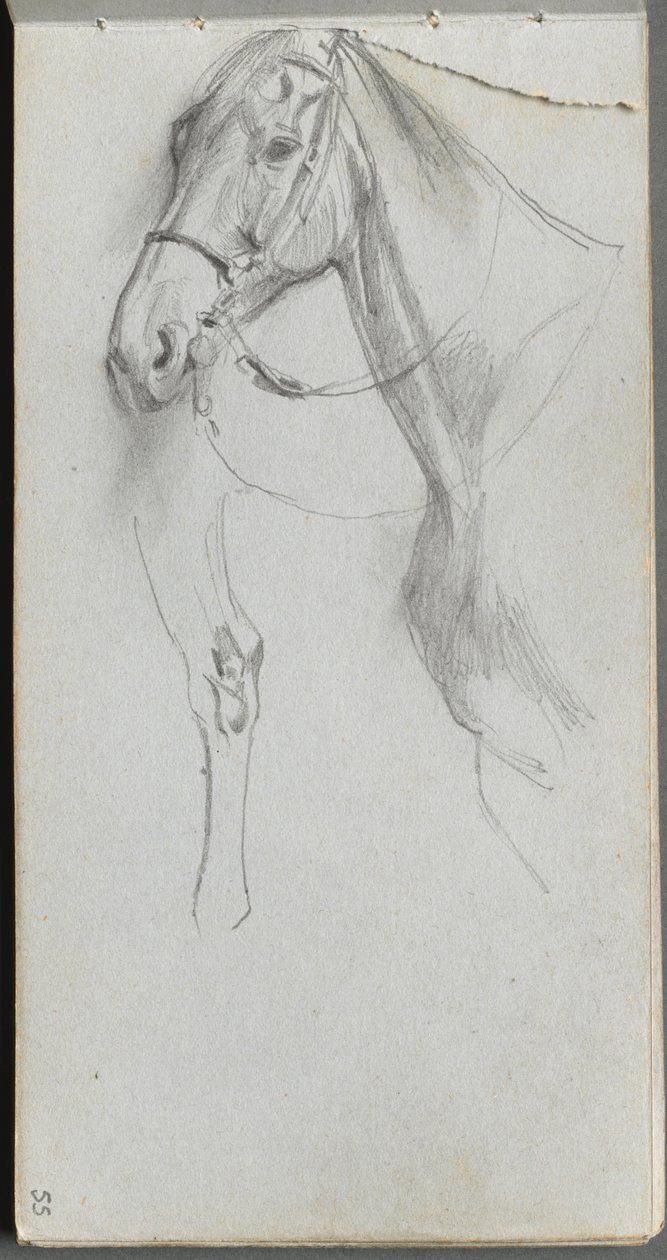Náčrtník, strana 55: Studie pro koně. od Jean Louis Ernest Meissonier