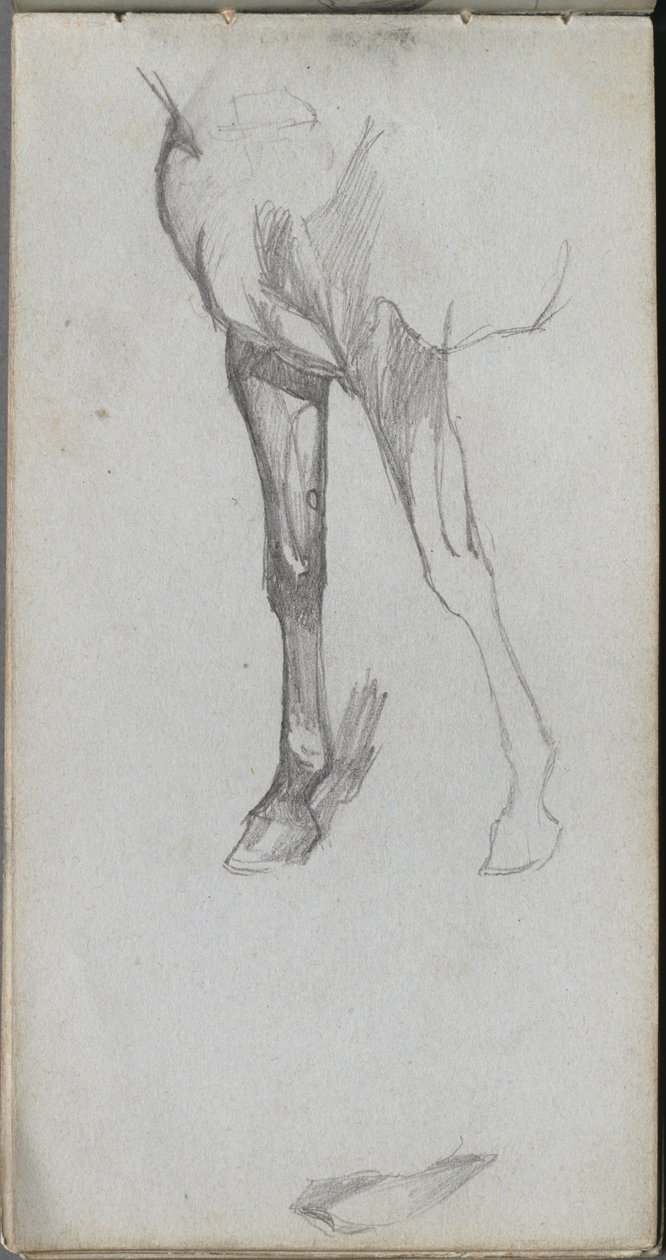 Náčrtník, strana 66: Studie koně. od Jean Louis Ernest Meissonier