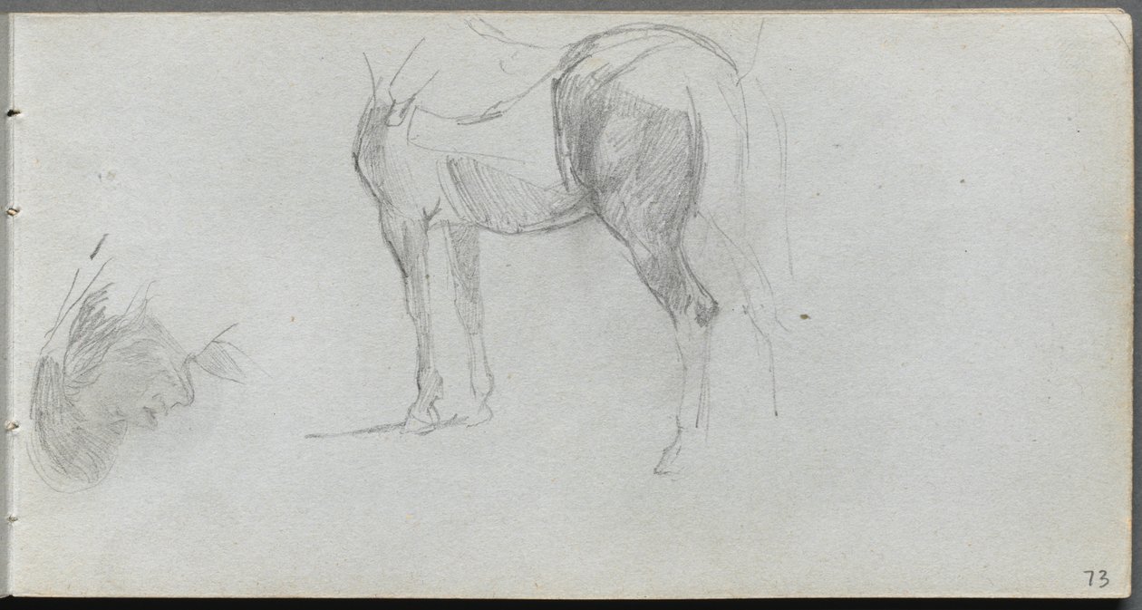 Náčrtník, strana 73: Studie koně, profil od Ernest Meissonier