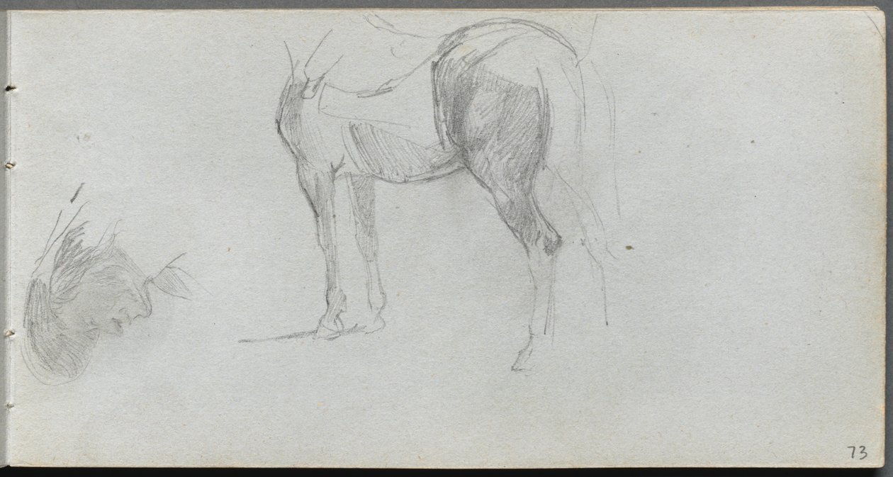 Náčrtník, strana 73: Studie koně, profil. od Jean Louis Ernest Meissonier