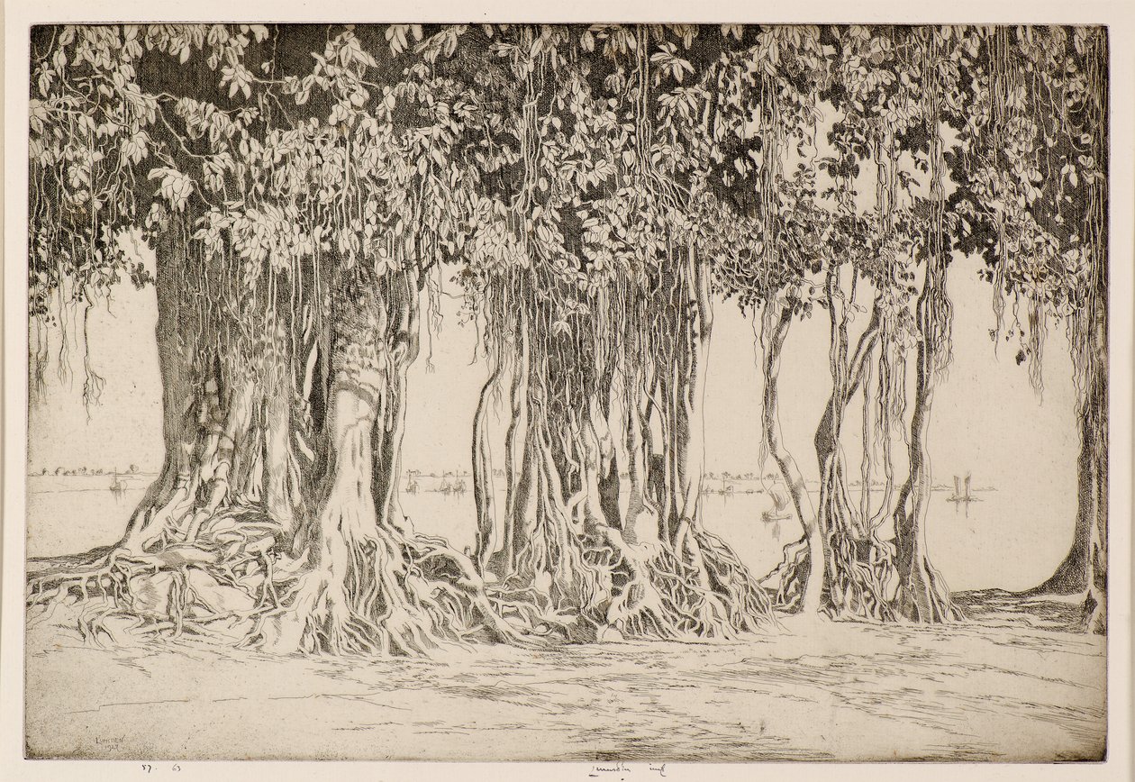 Banyan Tree od Ernest Stephen Lumsden