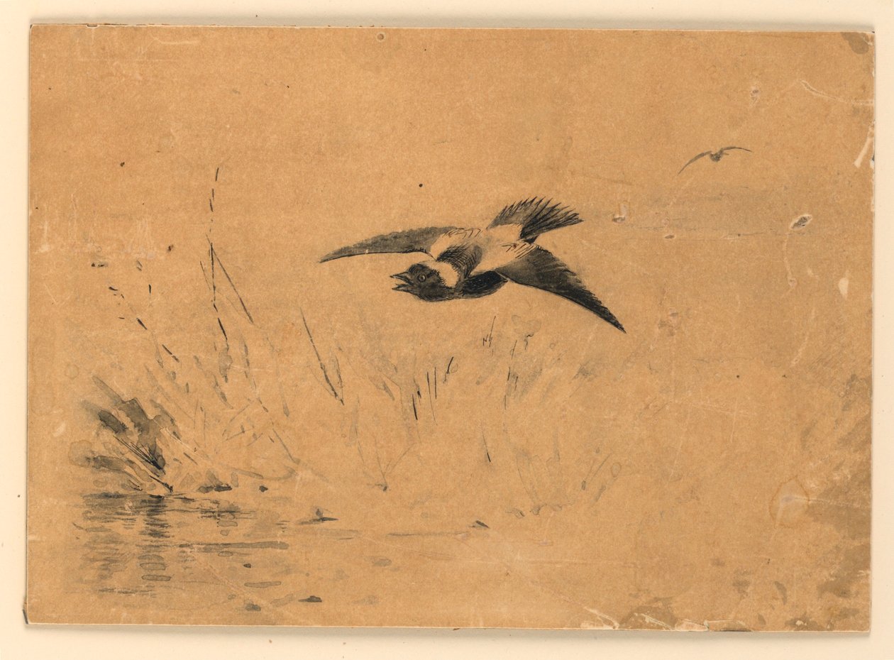 Bobolink od Ernest Thompson Seton