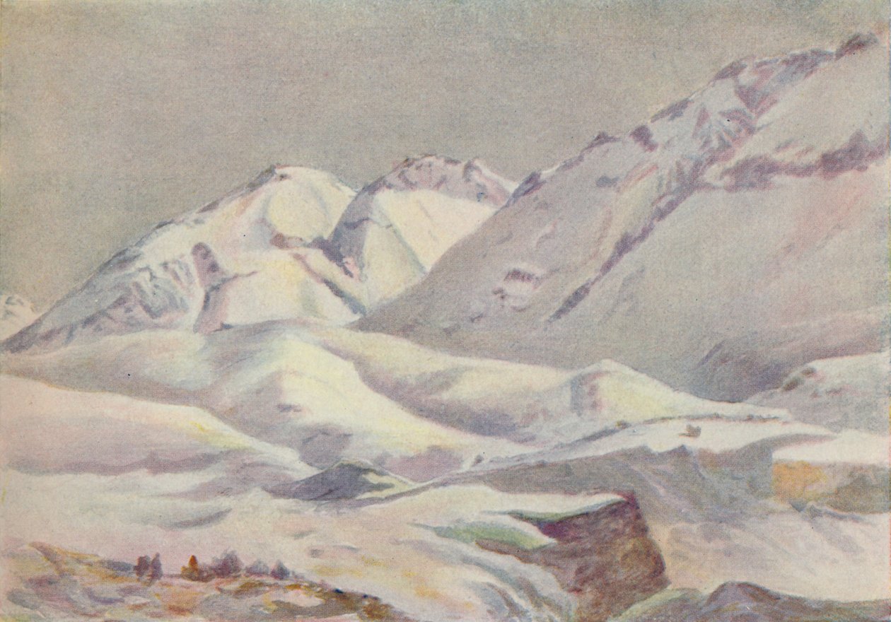 Andy, 1916 od Ernest William Christmas